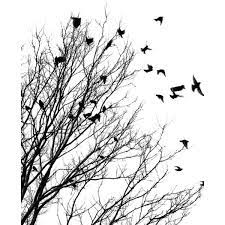 Calguisvectorhiver4119 Png Black And White Birds Flying Bird Silhouette Birds Flying