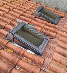 Pose Velux Saint Florent Sur Cher Issoudun