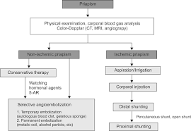 Image result for Priapism