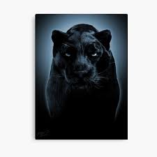 Canvas wall art prints made in the uk, free uk delivery. Jungle Canvas Prints Redbubble