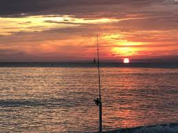 Quick reference for saltwater fishing regulations which are in effect for florida through mid year 2014 view online or print for quick reference the new 2017 saltwater fishing regulations. Florida Fishing License Regulations Fisherman S Cove Rv Resort