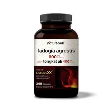 Image result for Fadogia