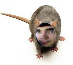 Pin by Devang Ajmera