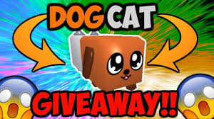 After that type your code to the text get your free reward. Dogcat Giveaway Secret Pet For Free Bubble Gum Simulator Roblox Roblox Roblox Pictures Pets