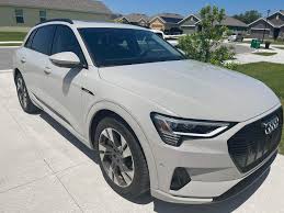 Image result for Siam Beige 2017 A1