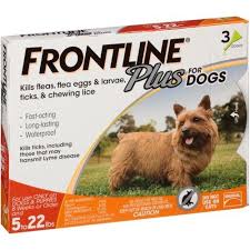 Frontline Plus Flea Tick Prevention For Small Dogs 3 Monthly Treatments In 2020 Frontline Plus For Dogs Fleas Tick Treatment