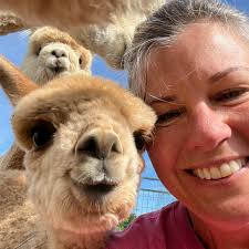 Alpaca Owners Association (@alpacaowners) • Instagram-Fotos und -Videos