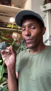 Kristen Griffith Flowers