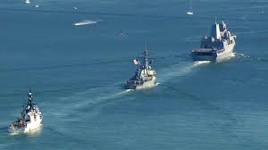 Image result for Tan 2023 Fleet