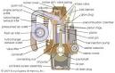 Cummins - List of Diesel Engine Manufacturers