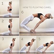 Pin By Yoga4daily On Arts In 2021 Yoga Poses Advanced Yoga For Beginners Easy Yoga Workouts