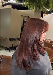 Image result for Copper Tan Cocoa Brown 1968 Westinghouse