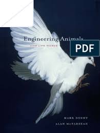 Metal kitchen rack w \/metal rods vs cones color vision tetrachromacy. Mark Denny Alan Mcfadzean Engineering Animals How Life Works 2011 Pdf Horse Gait Predation