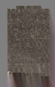 Image result for Thecacoris spathulifolia