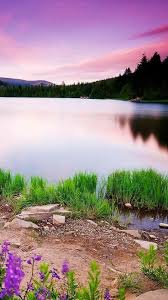We hope you enjoy our growing collection of hd images to use as a background or home screen for your. Amazon Com Beautiful Nature Wallpaper Appstore For Android