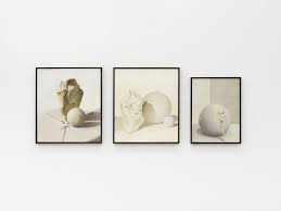 Bildergebnis für Shahin Afrassiabi