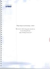 Tổng Công ty Gas Petrolimex - CTCP - Báo cáo tài chính riêng giữa ...