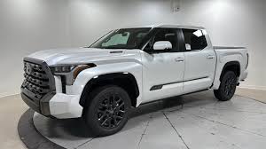 Image result for Power Tan 2012 Fleet