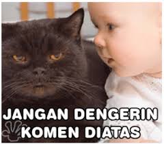 Gambar lucu di atas adalah contoh cara menipu selera makan. 100 Meme Gambar Lucu Foto Dan Poto Kocak Terbaru Komik Gambar2