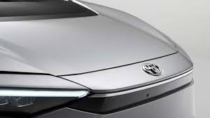 sodeno19 Sakayanagi Twitter leak