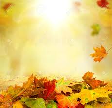 Maybe you would like to learn more about one of these? Autumn Background Stock Photo Picture And Royalty Free Image Image 44718997