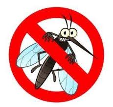 Anti Dengue Awareness