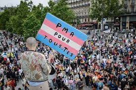 Puis cécile bouanchaud et solène cordier, journalistes au monde, nous racontent le parcours législatif de la pma pour toutes, depuis la promesse initiale, en 2012, jusqu'à aujourd'hui. Cfjxjpbtclwglm