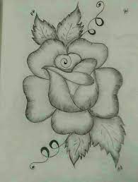 Pin On Drawing