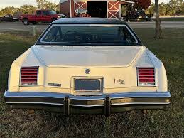 Image result for Yellow 1976 Fleet