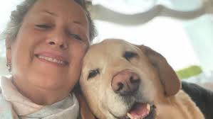 Hanno sparato al Labrador di Carolyn Smith e crede di sapere chi è stato