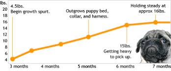 go pug yourself growth chart