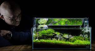 John pini's nano aquascape title guidance took best in show in the nano division of the aquascaping live! Nano Aquascape Tutorial Scree By James Findley How To Documentary Aquascape Art The Green Machine