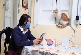 Las clases virtuales empezaron nuevamente y de la misma forma los padres vuelven a tener la responsabilidad de ayudar a sus hijos en este proceso. Noticias Bogota Clases Presenciales Vuelven El 8 De Febrero Alerta Bogota