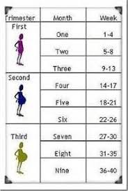 In the gregorian calendar, an average month has exactly 30.436875 days. How Many Months Are We May 2017 Babies Forums What To Expect