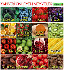 Kanseri Onleyen Meyveler Sifabul 1 Bogurtlen 2 Yaban Mersini 3 Cilek 4 Kirmizi Uzum 5 Turuncgiller 6 Goji Berry Kurt Uz Goji Berries Berries Goji