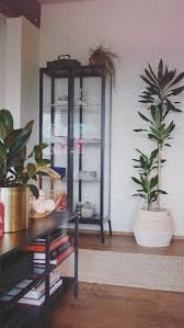 Zimmerpflanzen Vitrine Boho Interior Zimmerpflanzen Pflanzen Vitrine