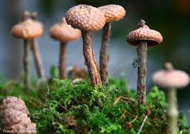 Mini Pilze Holz Handwerk Bastel Herbst Basteln Herbst