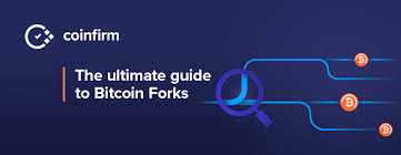 Larger blocks would mean greater transactional value potentially compromised. The Ultimate Guide To Bitcoin Forks Coinfirm