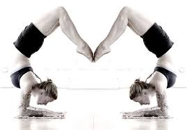 520 x 390 jpeg 40 кб. Newbie Yoga Teacher