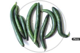 Image of Ridge Guard, Gilki Or Turai Fresh Vegetable-WS711135-Picxy