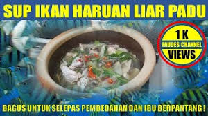 Berikut ini adalah cara meresep dengan praktis. Sup Ikan Haruan Liar Padu Resepi Ibu Berpantang Sangat Power Youtube