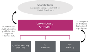 Check spelling or type a new query. Start Ups In Luxembourg
