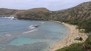Do check the hanauma bay website for latest entrance processes, as things can change quickly due to covid. Two Hawaii Beaches Rank In Trip Advisor Travelers Choice Awards Top 10 Pacific Business News