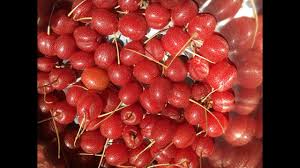 Image result for goumi