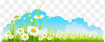 Festive ramadan kareem design with 3d metallic gold crescent moon and lanterns. Spring Spring Decor Sky Grass And Camomile White Petaled Flowers Presentation Flower Png Pngegg