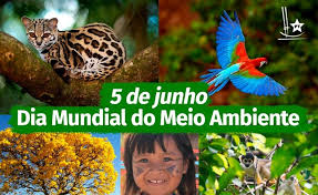 A data foi estabelecida pela onu (organização das nações unidas) em 1972, durante a conferência de estocolmo. Brasil Nada Tem A Comemorar No Dia Mundial Do Meio Ambiente Afirmam Petistas Pt Na Camara