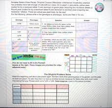 These f1 seeds grew into mature plants and were. Amoeba Sisters Monohybrid Crosses Key Monohybrid Cross Practice By Tabbteaches Teachers Pay Teachers Dead Silence Forall Wall