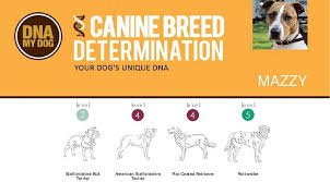 Best Dog Dna Tests Compared My Family Dna Test