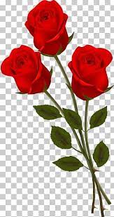 Beautiful, free images gifted by the world's most generous community of photographers. Love Flowers Png Images Love Flowers Clipart Free Download