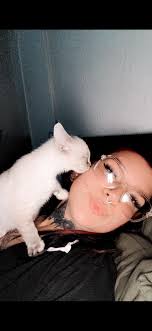 Animal Shelter of Sullivan County Friends